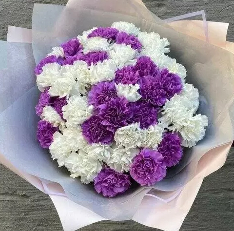 Букет из 35 белых и фиолетовых гвоздик в оформлени
