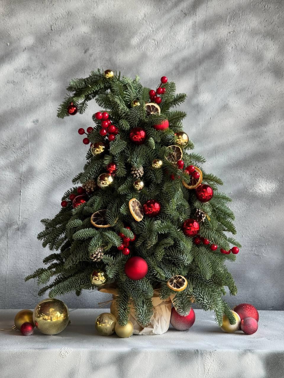 Елка "Red Berries"