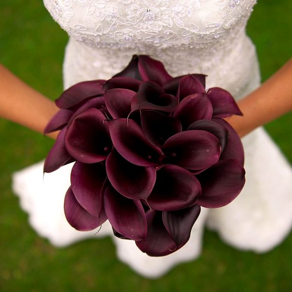 Букет невесты из 25 бордовых калл