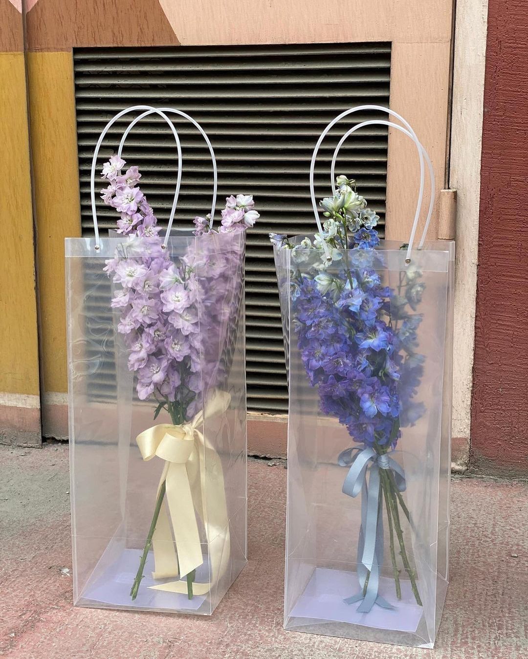 Дельфиниумы в пакете