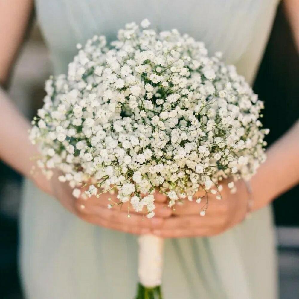 Букет невесты из 5 гипсофил