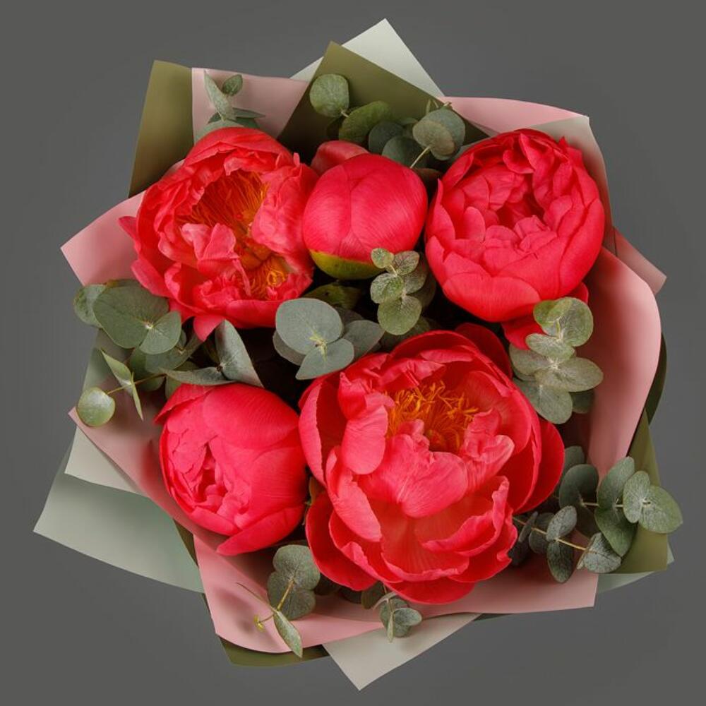 Букет из 5 красных пионов с эвкалиптом