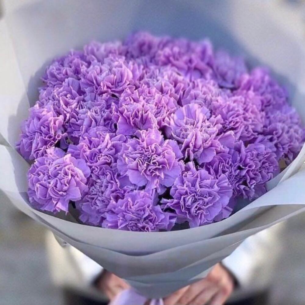 Букет из 35 фиолетовых гвоздик в оформлении