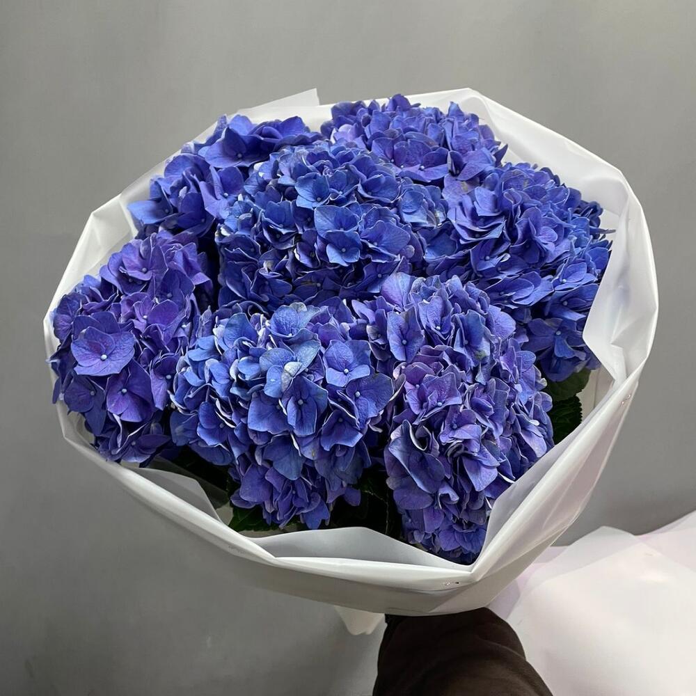 7 синих гортензий