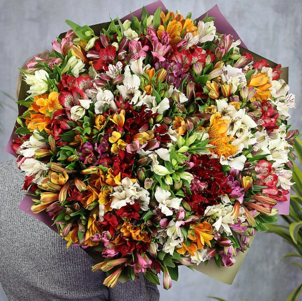 Букет из 101 альстромерии микс