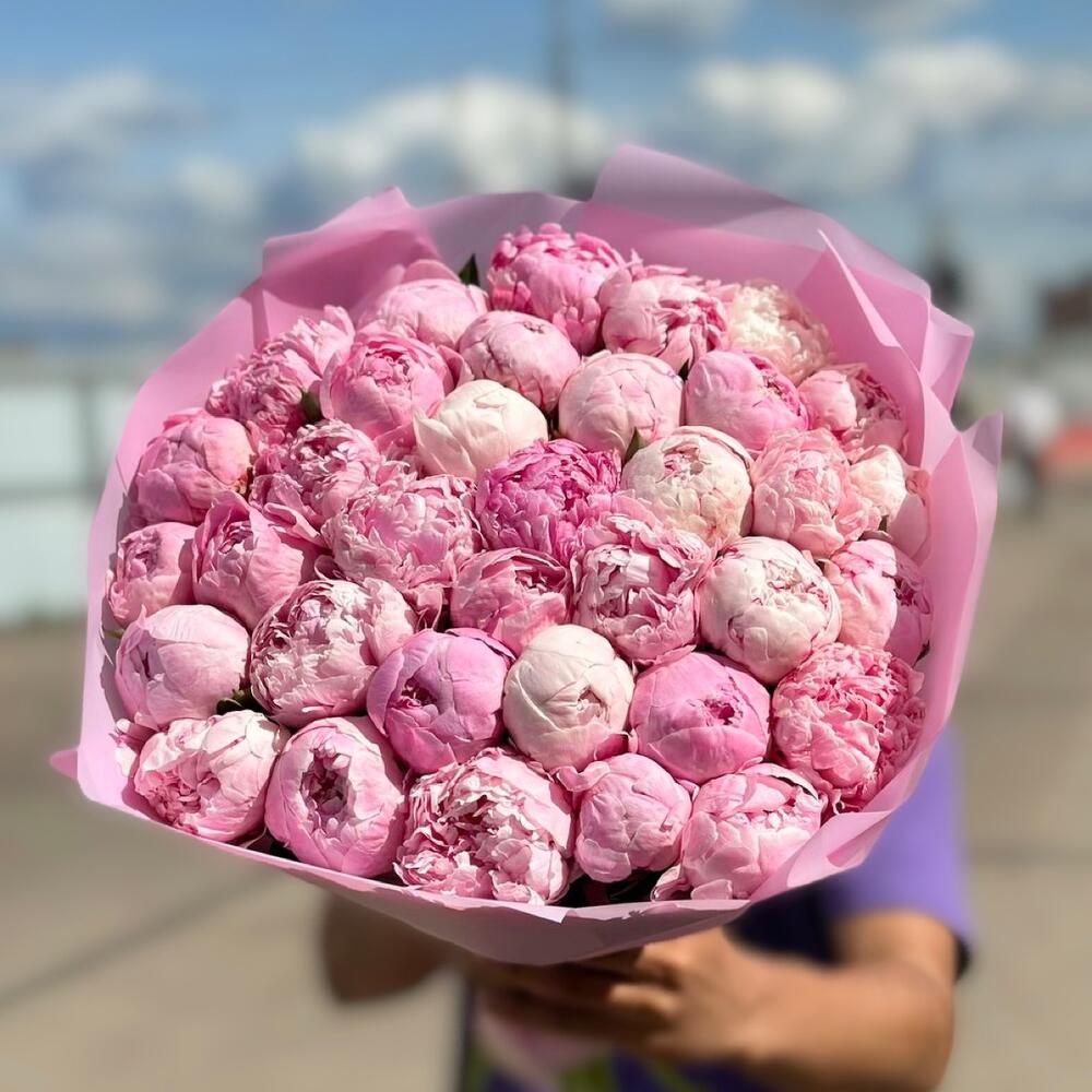 35 розовых голландских пионов