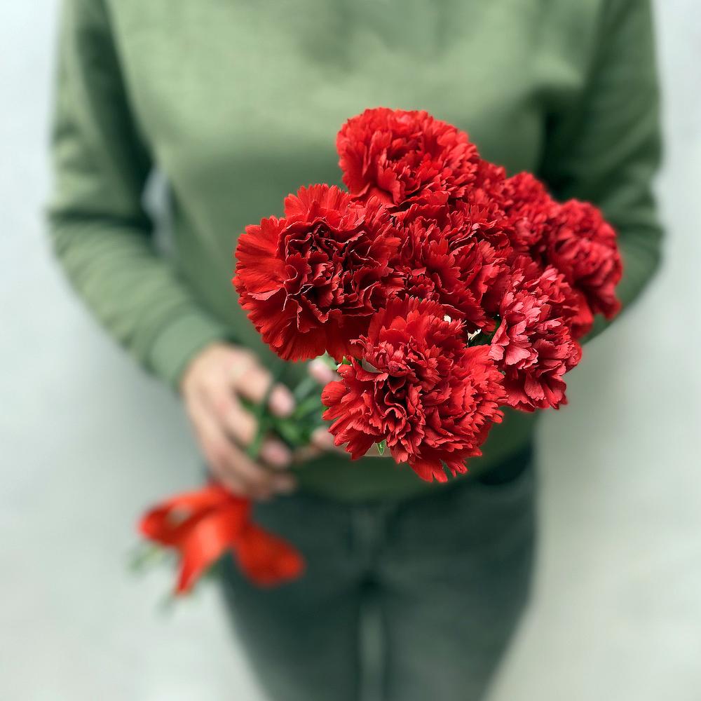 Букет из 7 гвоздик с лентой