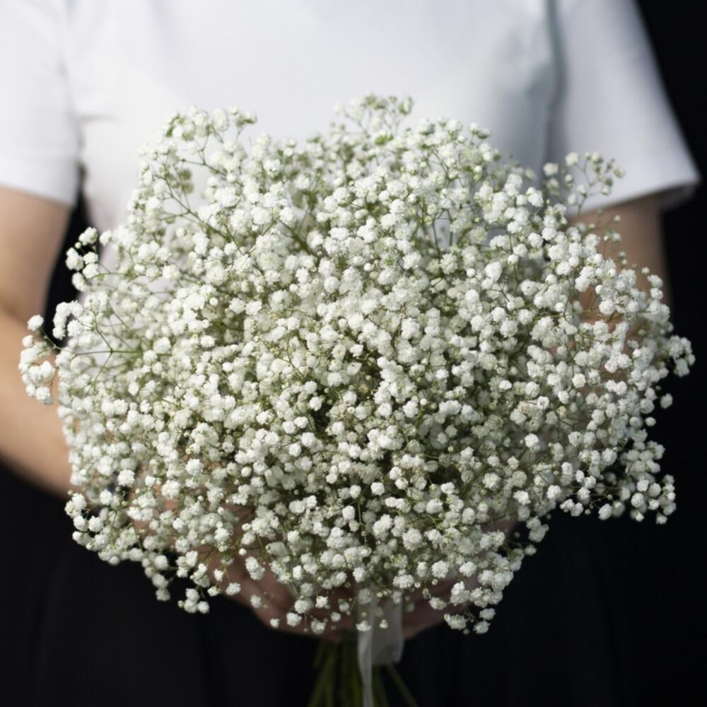 Букет невесты из 5 гипсофил