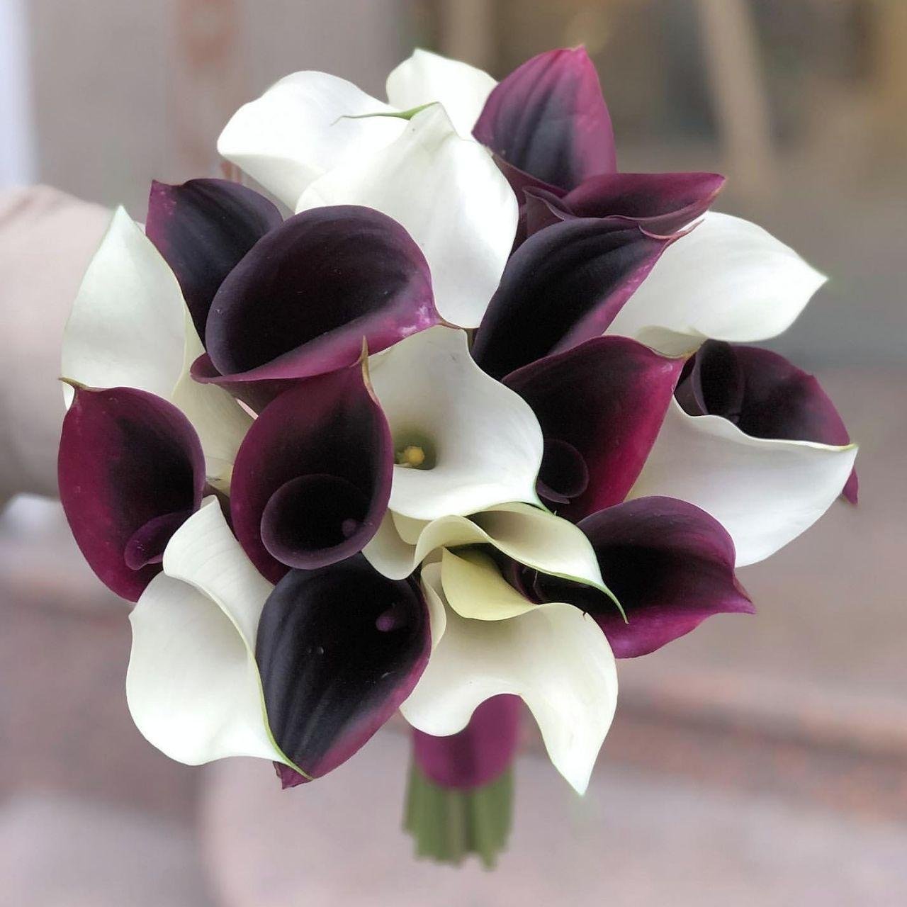 Букет невесты из 19 бордовых и белых калл