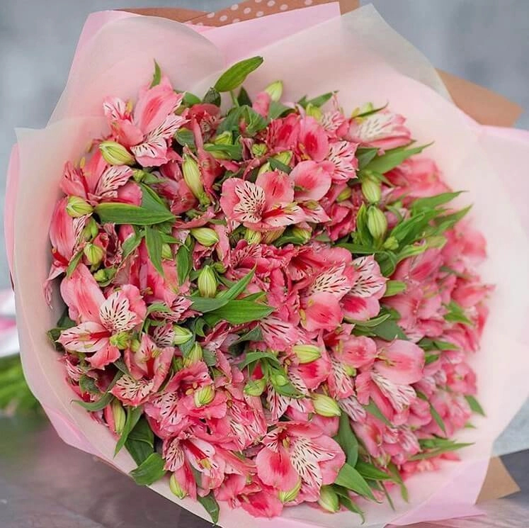 Букет из 29 розовых альстромерий