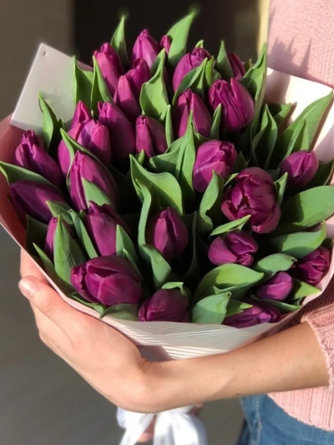 Букет из 25 фиолетовых тюльпанов "Муза"