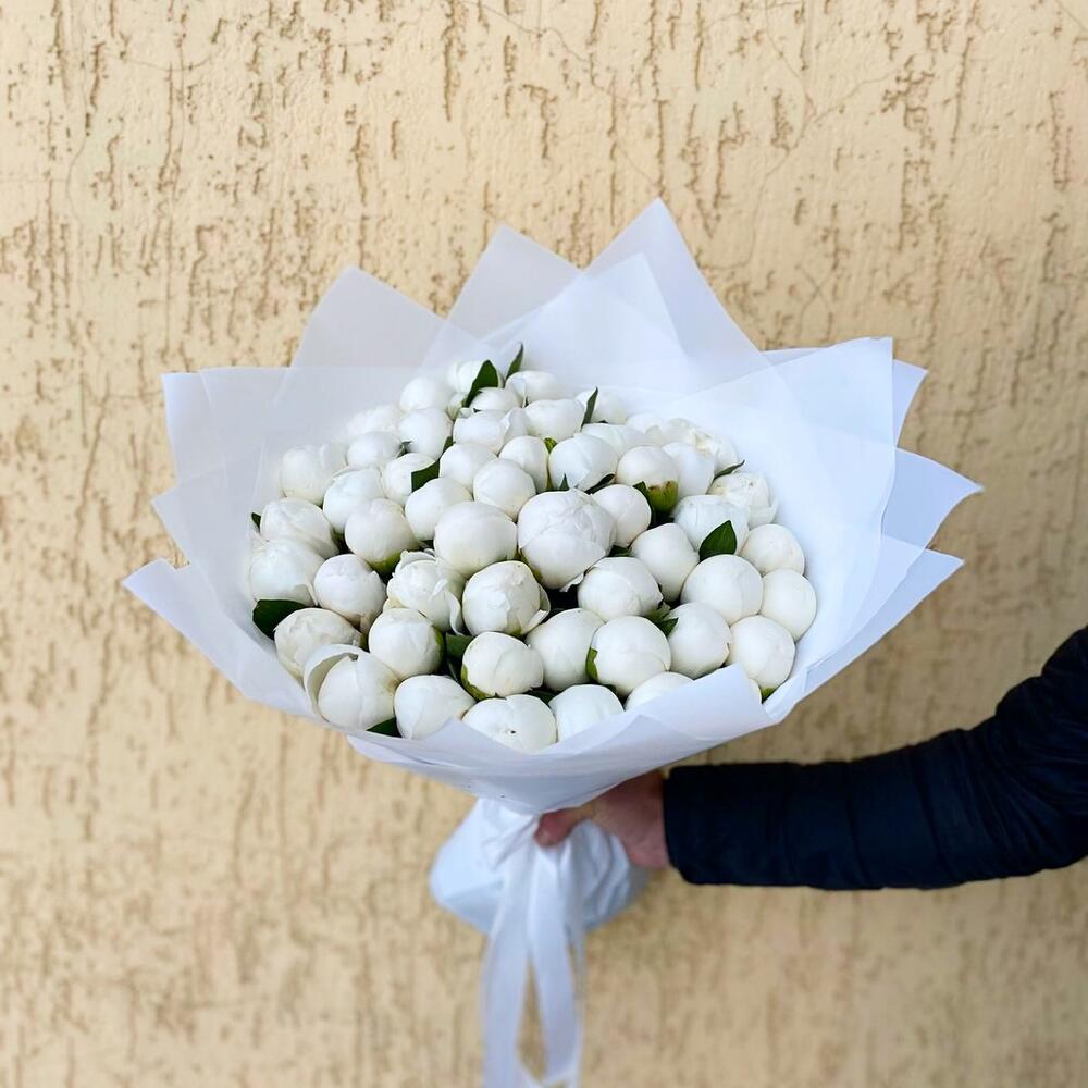 Букет из 51 белого пиона
