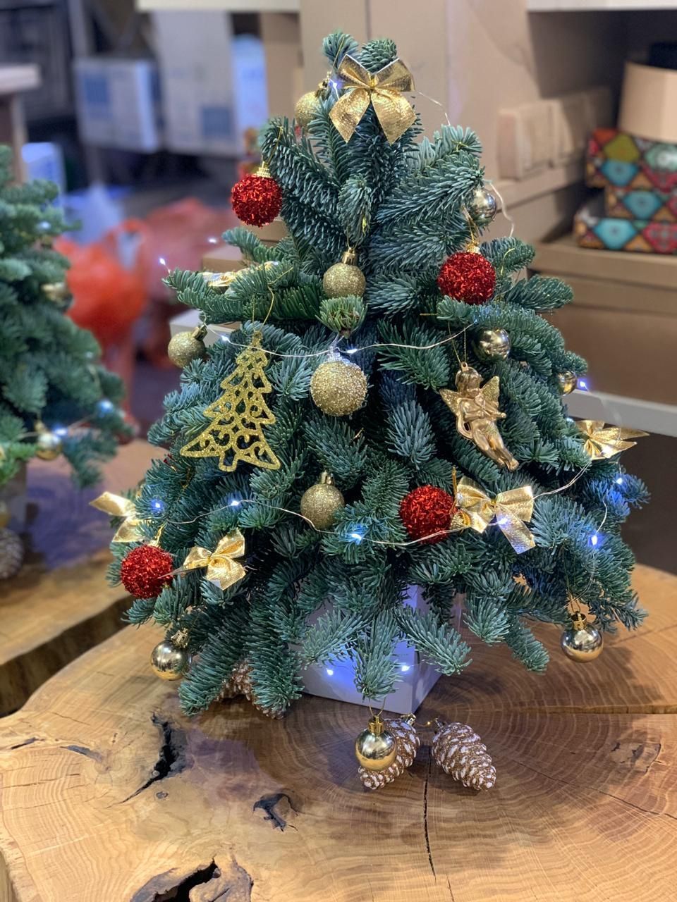 Новогодняя елка из натурального нобилиса