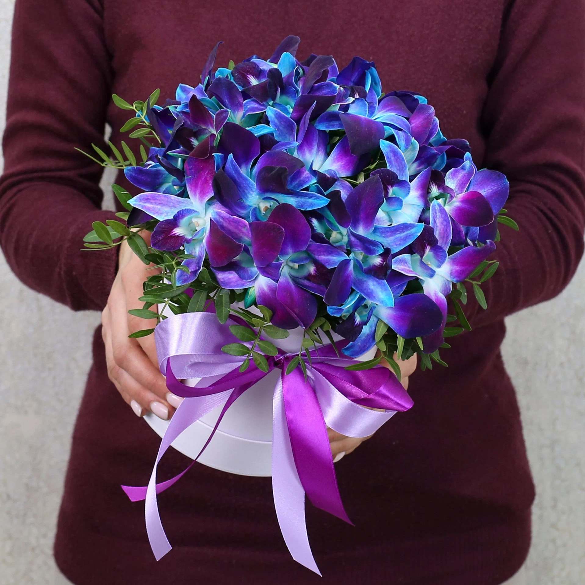 19 орхидей дендробиум с фисташкой в коробке