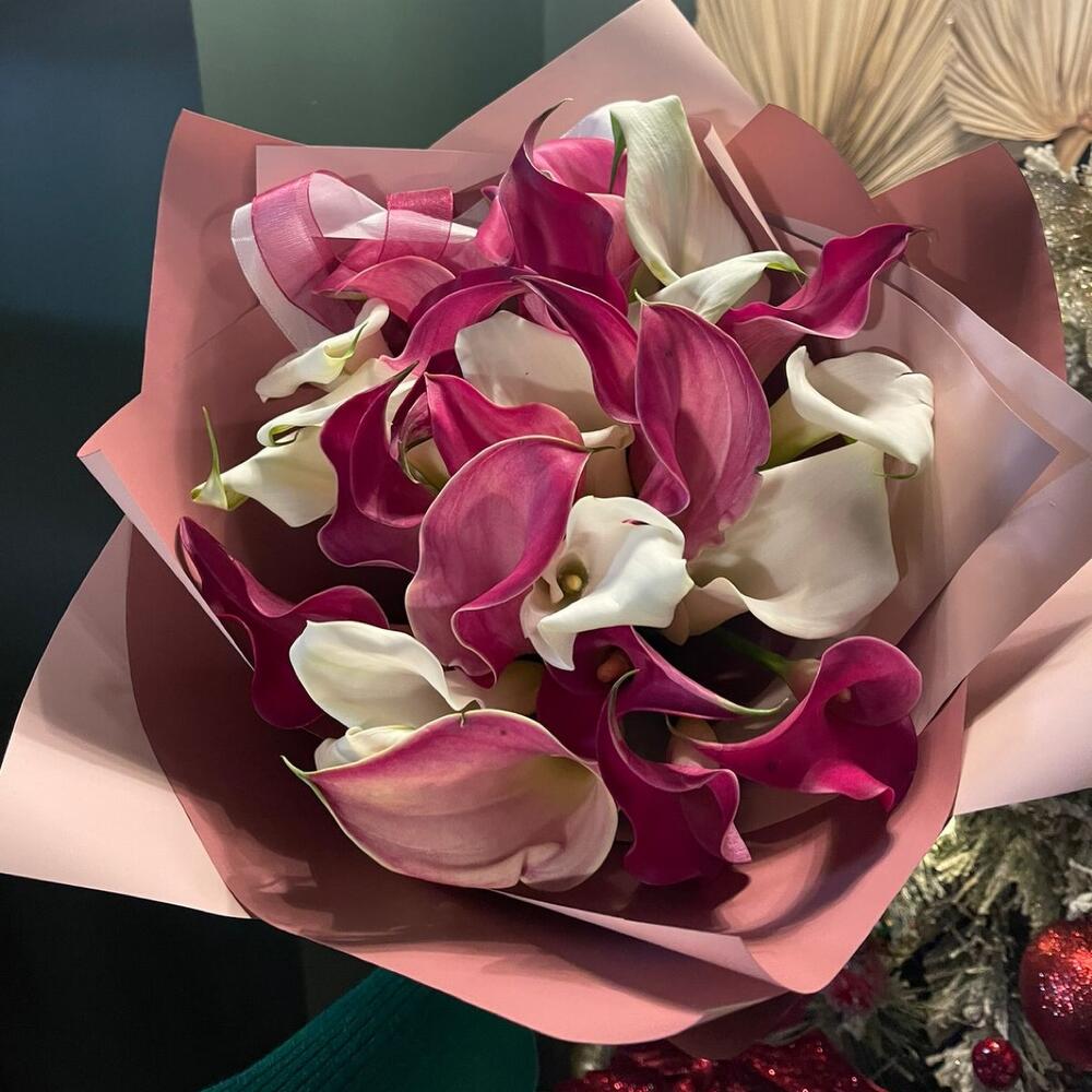 Букет из 29 белых и малиновых калл