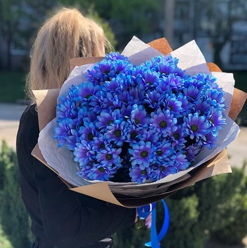 Букет из 13 синих кустовых хризантем