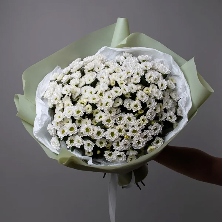 Букет из 11 белых кустовых хризантем сантини 