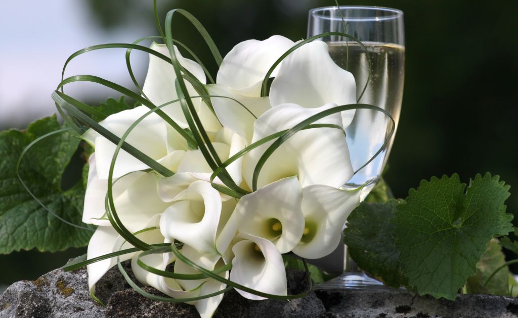 Цветы белых калл и бокал шампанского