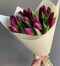 15 фиолетовых голландских тюльпан 