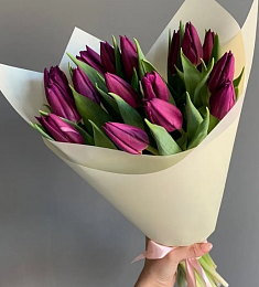 15 фиолетовых голландских тюльпанов
