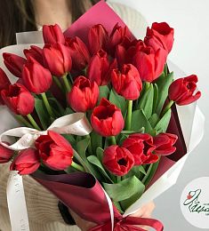 Букет из 25 красных тюльпанов "Ariel"