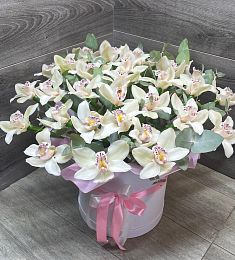 25 орхидей с эвкалиптом в коробке
