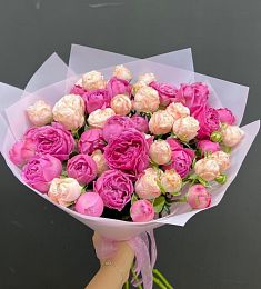 Букет 11 ярко розовых и белых  пионовидных кустовых роз