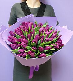 Букет из 49 фиолетовых голландских тюльпанов