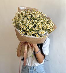 Букет "Свити" из кустовой ромашки