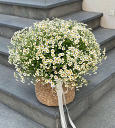 Букет "Ромашковый бум"