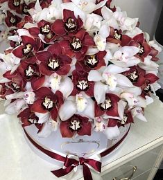 101 бордовая и белая орхидея в коробке