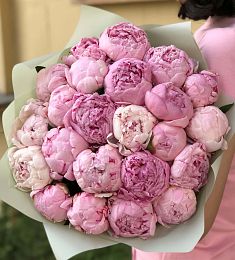23 розовых голландских пиона в оформлении