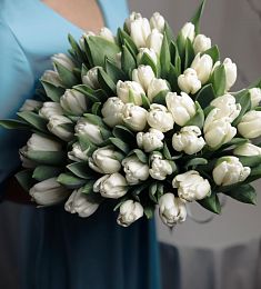 49 белых тюльпанов в оформлении