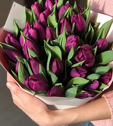 Букет из фиолетовых тюльпан "Муза"