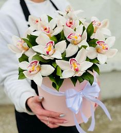 11 орхидей в коробке с рускусом