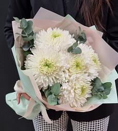 5 белых хризантем с эвкалиптом