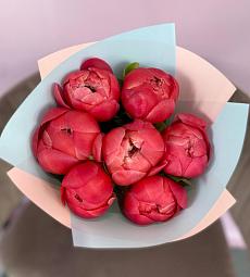 Моно букет из 5 красных пионов