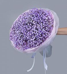 Букет из 9 фиолетовых гипсофил