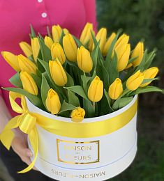 25 желтых тюльпанов в коробке