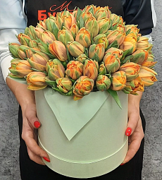 75 пионовидных тюльпан
