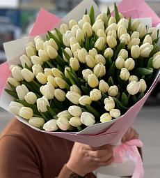 101 белых тюльпан