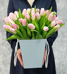 39 розовых тюльпанов в коробке