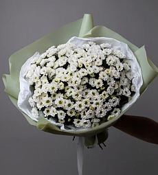 Букет из 11 белых кустовых хризантем сантини 
