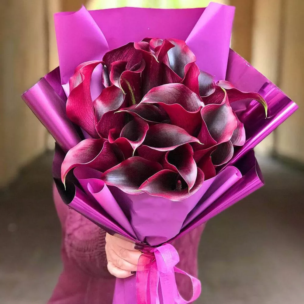 Букет из 19 красных калл