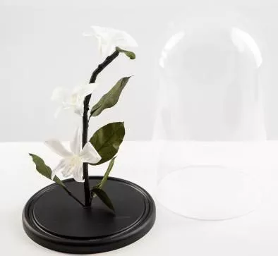 Стабилизированная композиция "Вечная лилия"