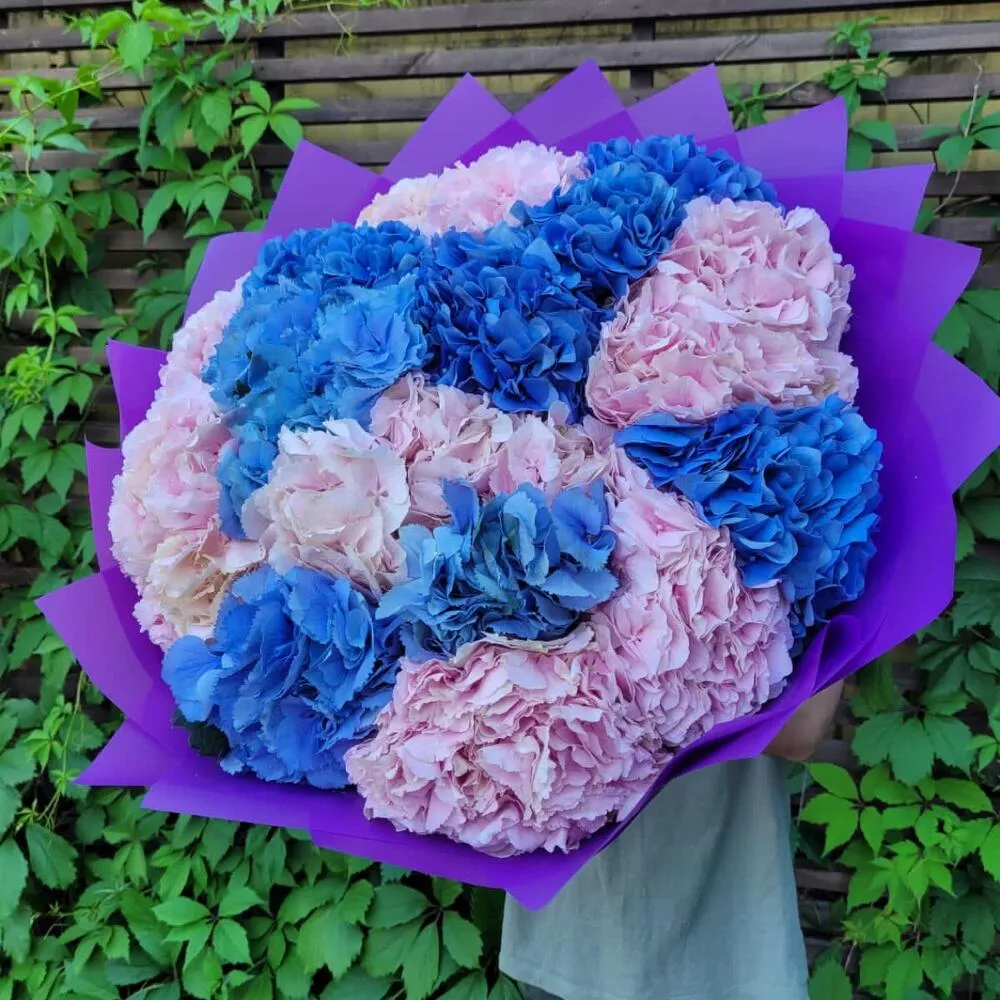 19 синих и розовых гортензий в оформлении