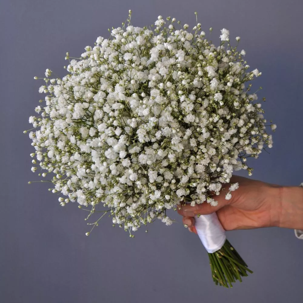 Букет невесты из 11 гипсофил
