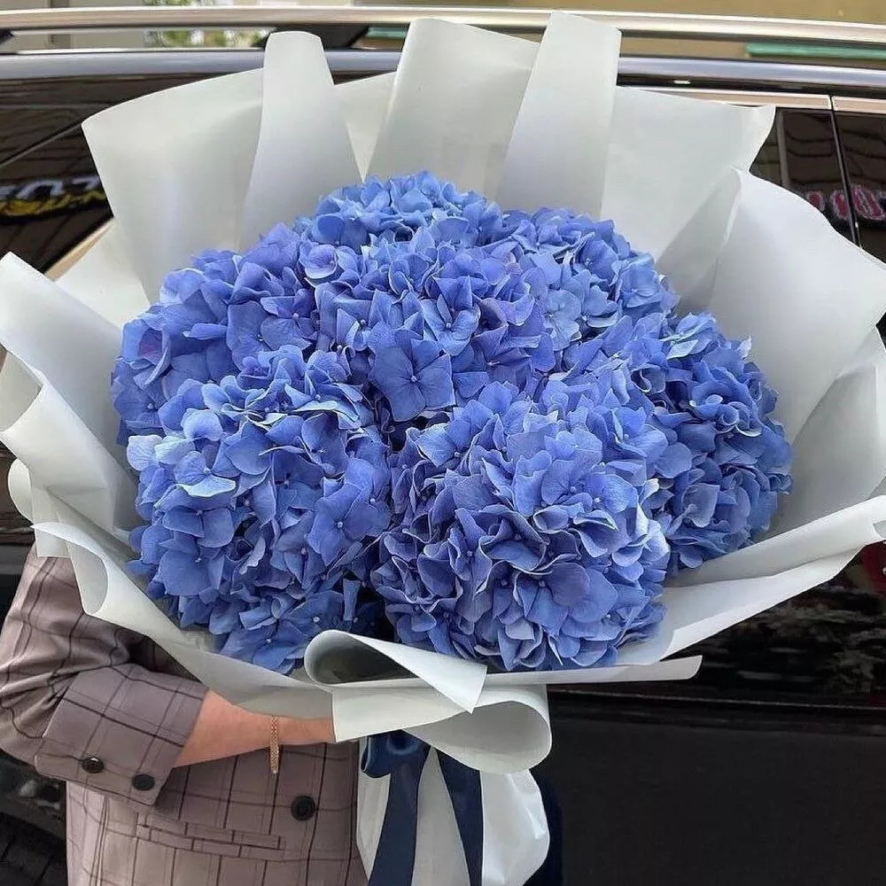 7 синих гортензий в светлом оформлении