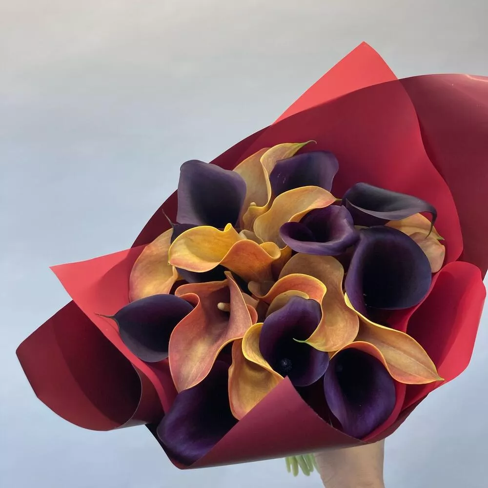 Букет из 19 черных и оранжевых калл