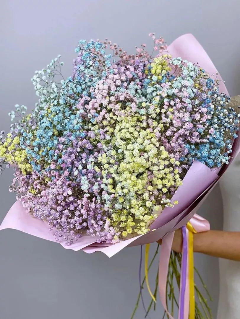 Букет из 15  гипсофил разных цветов